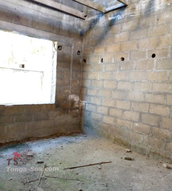 photo 2 de l annonce