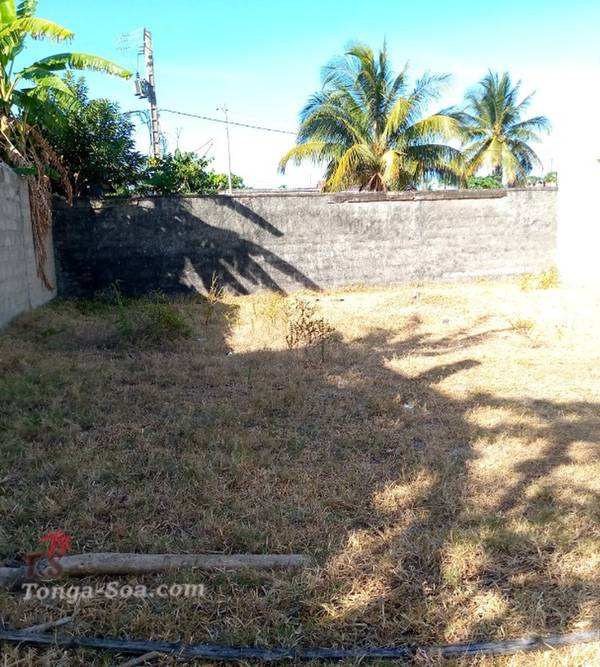 photo 4 de l annonce