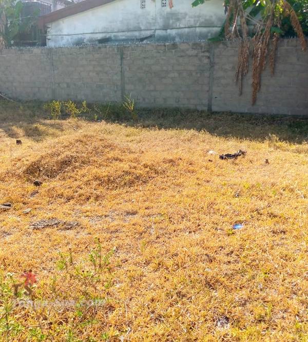 photo 5 de l annonce