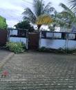 Miniature 5