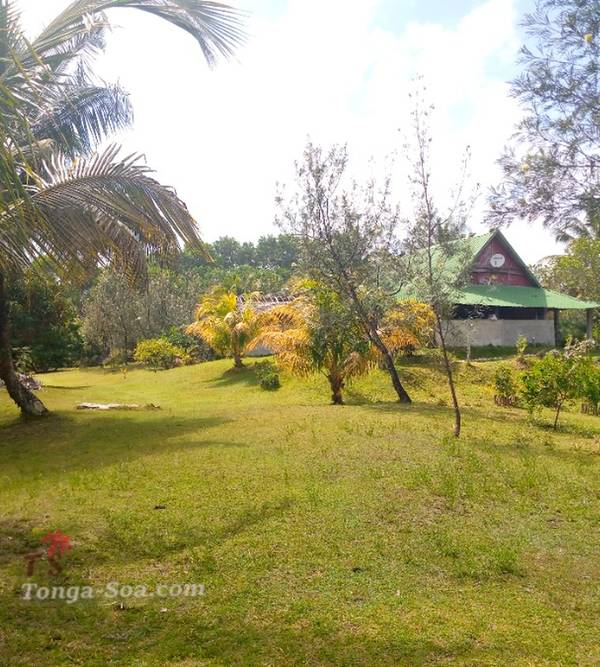 photo 2 de l annonce