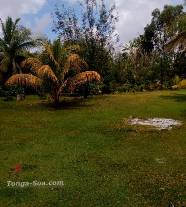 photo 3 de l annonce