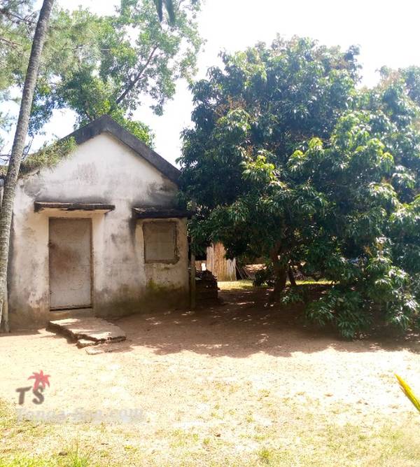 photo 4 de l annonce