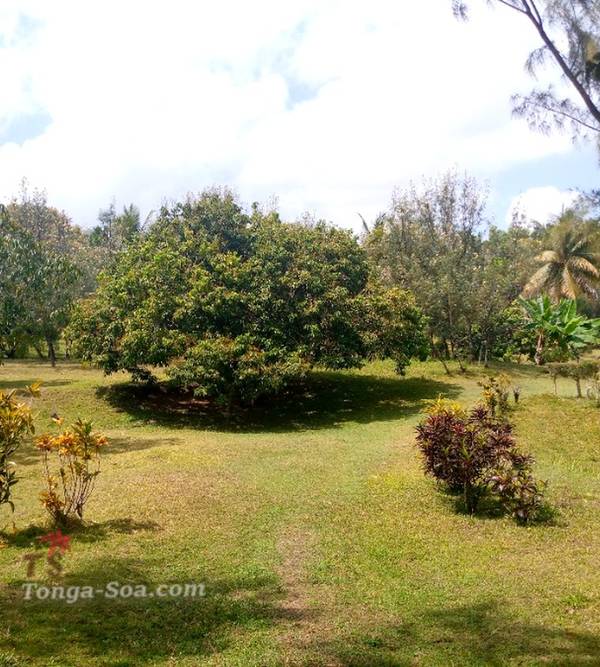 photo 5 de l annonce