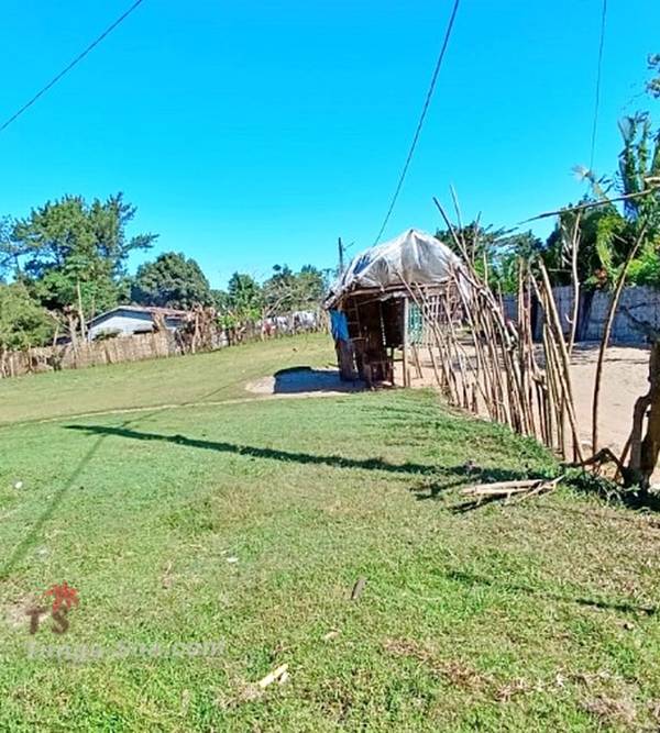 photo 1 de l annonce