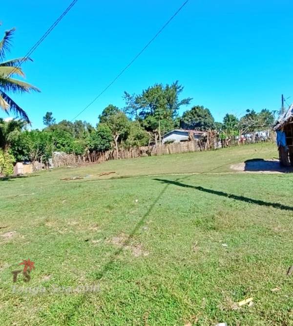 photo 3 de l annonce