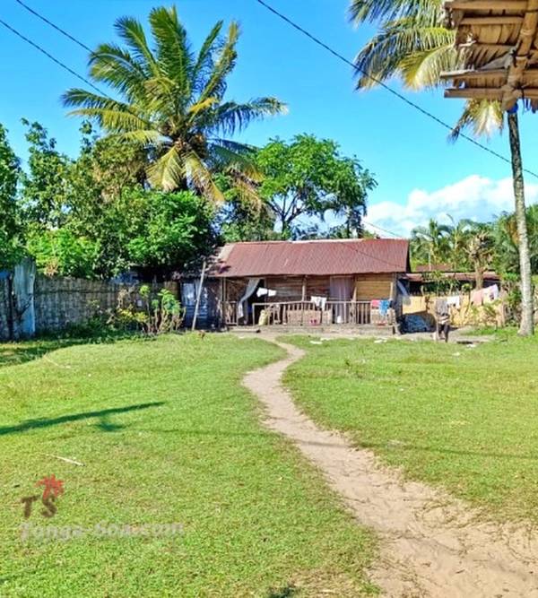 photo 4 de l annonce