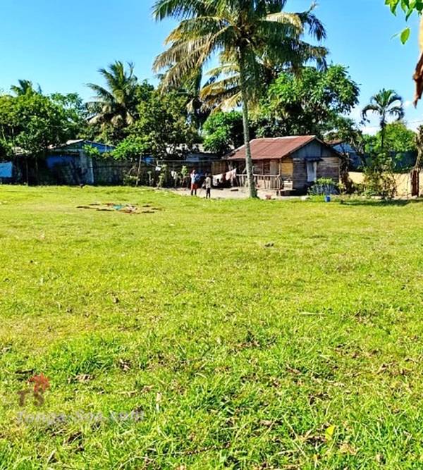 photo 5 de l annonce