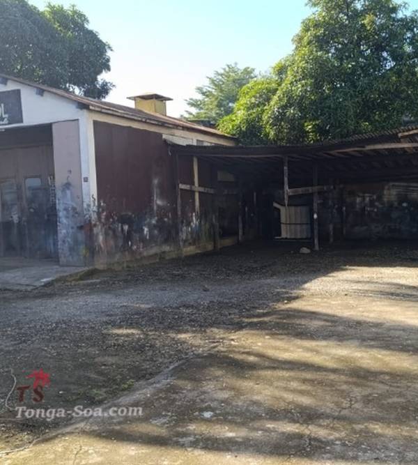 photo 4 de l annonce