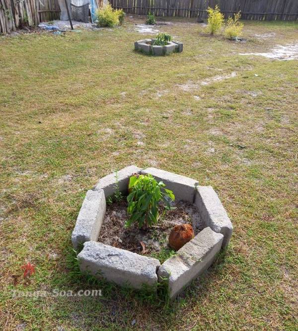 photo 5 de l annonce