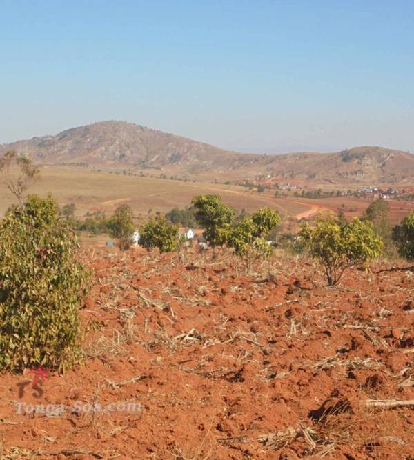 photo 1 de l annonce