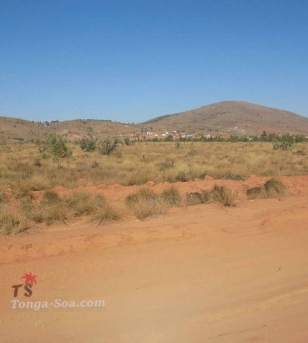 photo 3 de l annonce