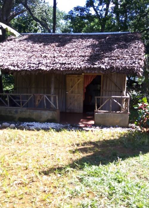 photo 3 de l annonce