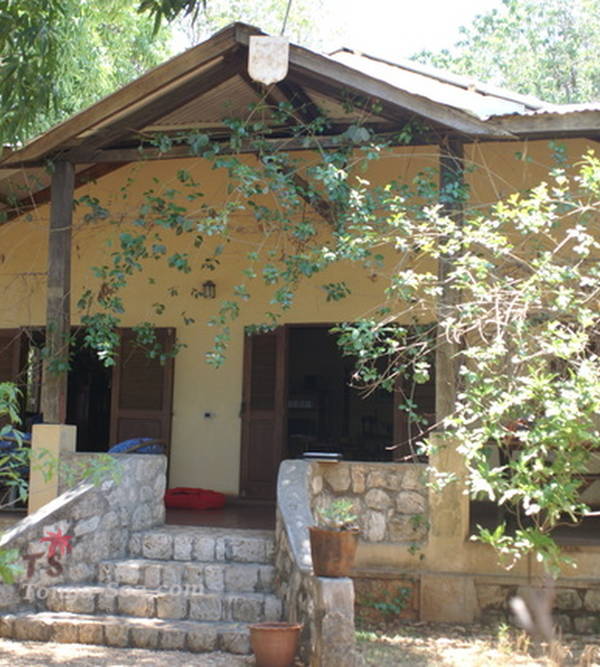 Photo 4