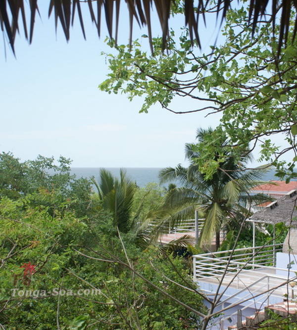 photo 1 de l annonce