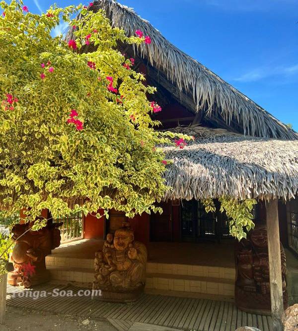 photo 1 de l annonce