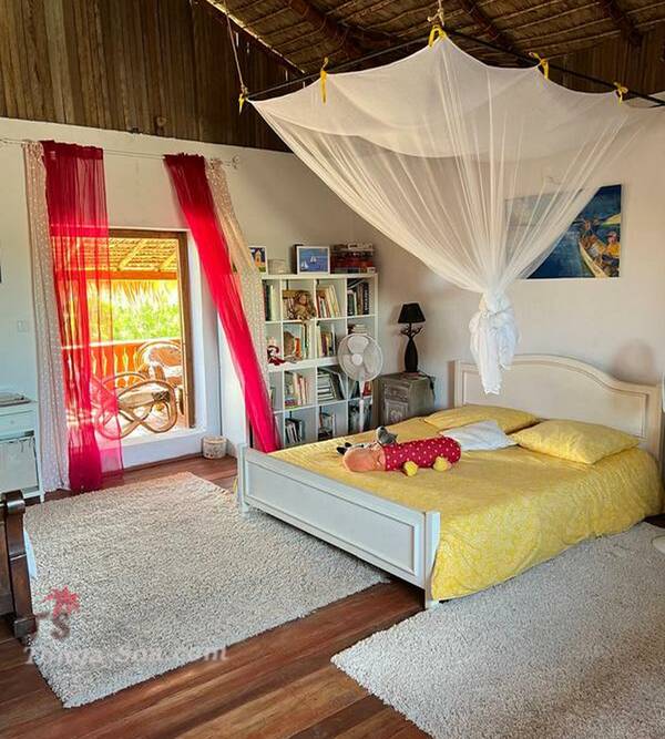 photo 3 de l annonce