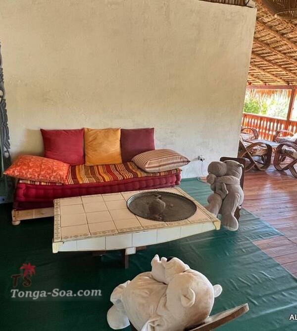 photo 4 de l annonce