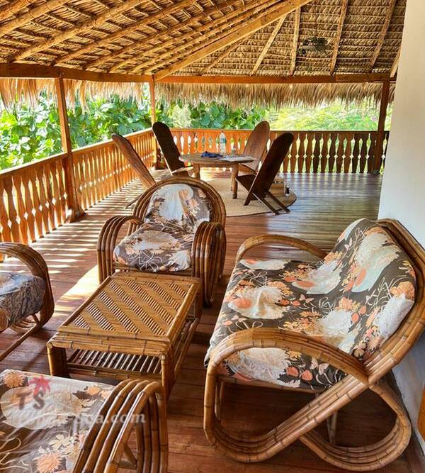 photo 5 de l annonce