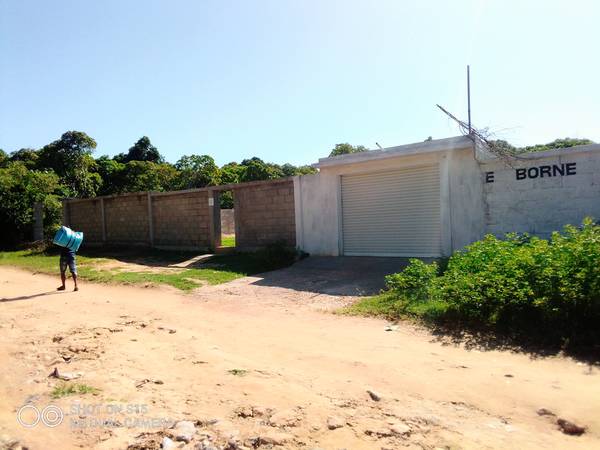 Photo 5