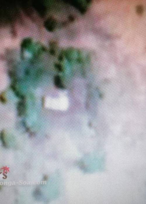 photo 1 de l annonce