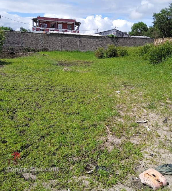 photo 1 de l annonce