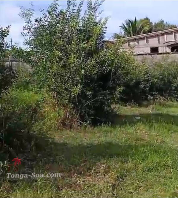 photo 2 de l annonce