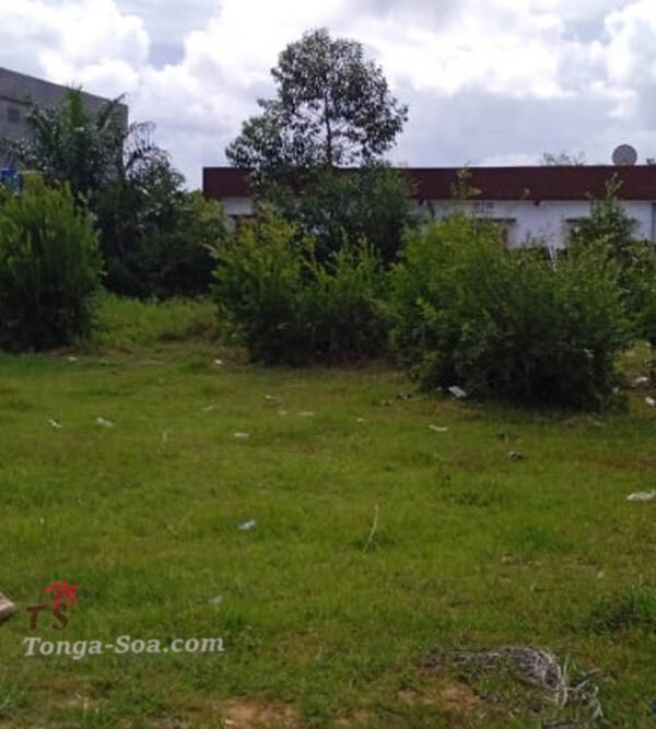 photo 3 de l annonce