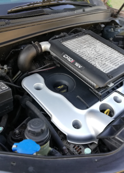 photo 1 de l annonce