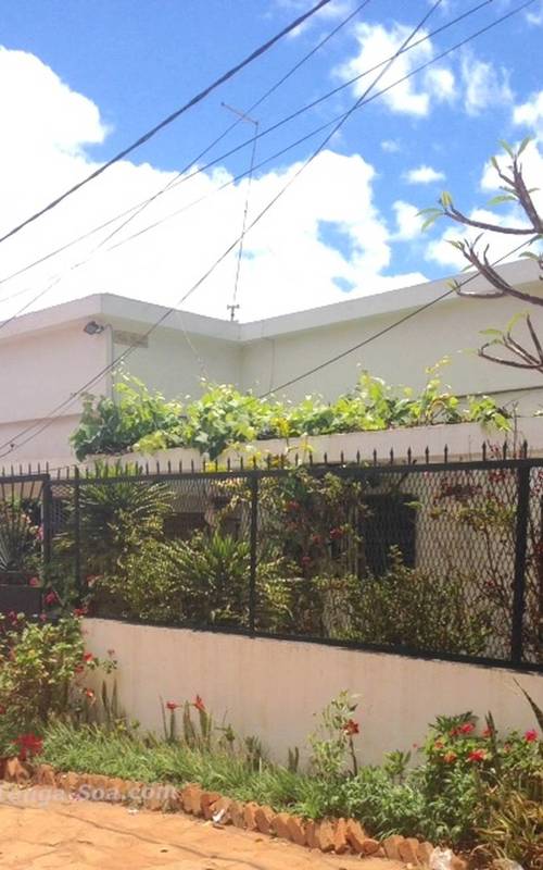 photo 3 de l annonce