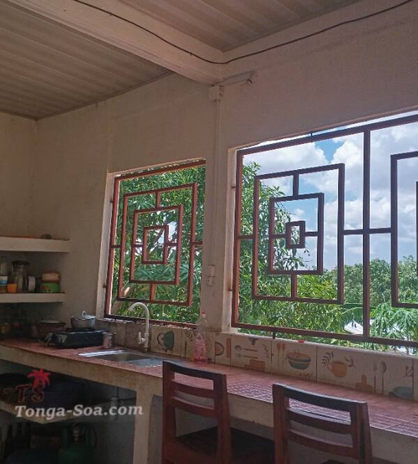 photo 1 de l annonce