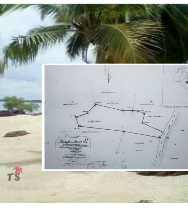 photo 1 de l annonce