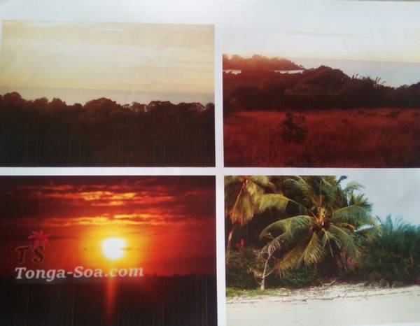 photo 1 de l annonce