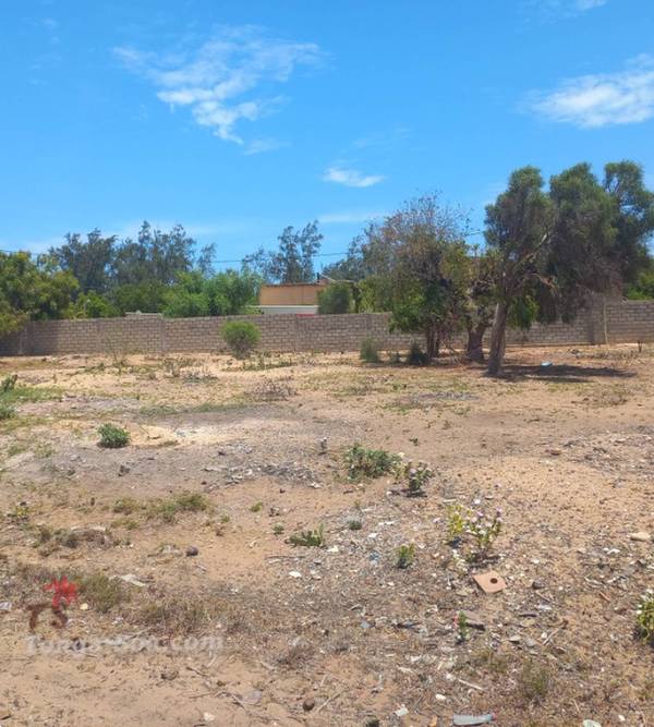 photo 2 de l annonce