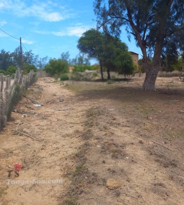 photo 3 de l annonce