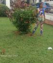 Miniature 3