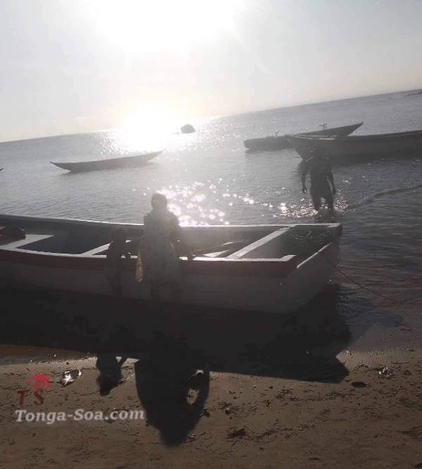 photo 1 de l annonce