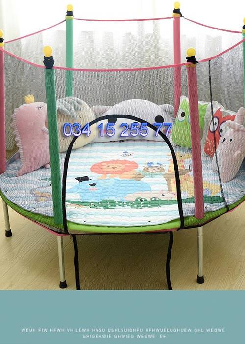 photo 2 de l annonce