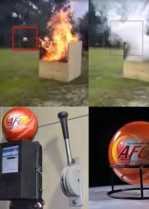 photo 2 de l annonce