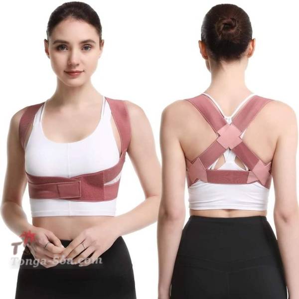 photo 1 de l annonce