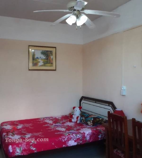 photo 1 de l annonce