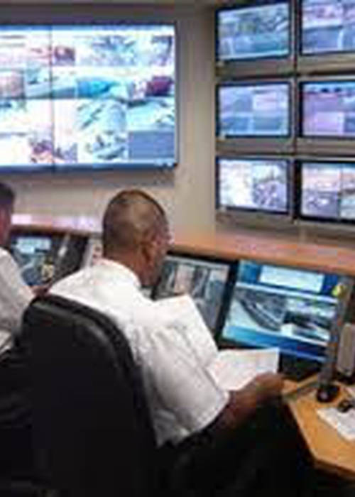 photo 2 de l annonce