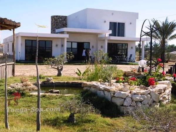 photo 1 de l annonce