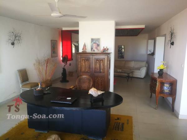 photo 3 de l annonce