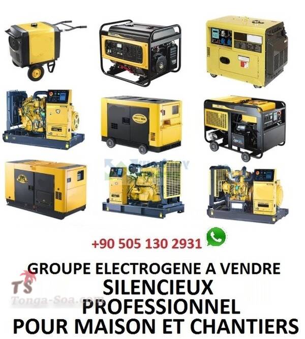 photo 3 de l annonce