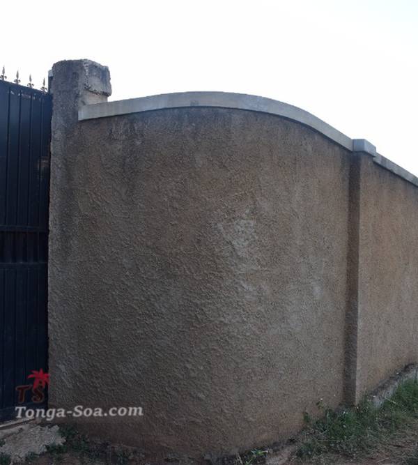 photo 1 de l annonce