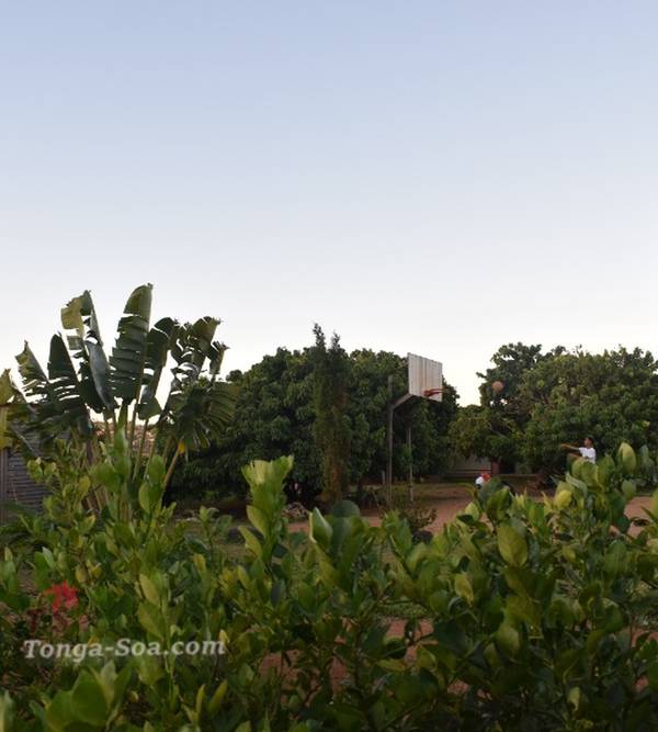 photo 2 de l annonce