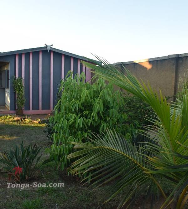 photo 3 de l annonce