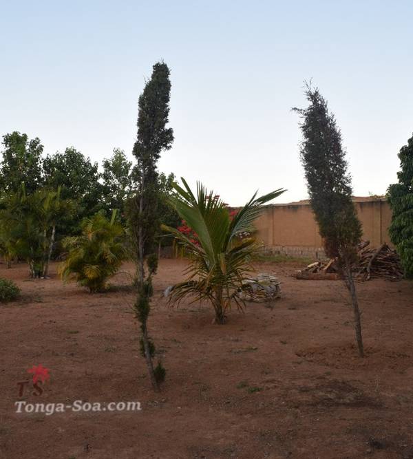 photo 5 de l annonce