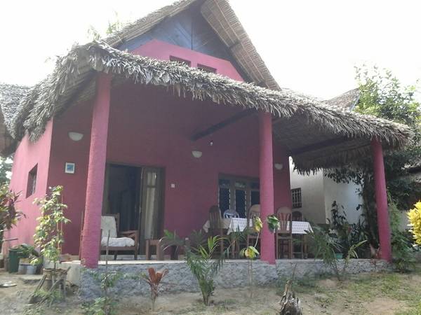 photo 1 de l annonce